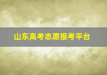 山东高考志愿报考平台