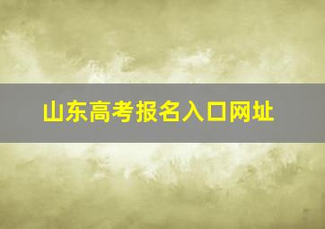 山东高考报名入口网址