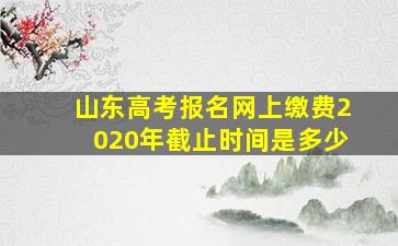 山东高考报名网上缴费2020年截止时间是多少