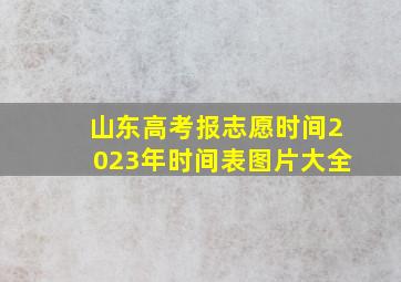 山东高考报志愿时间2023年时间表图片大全