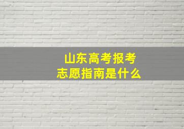 山东高考报考志愿指南是什么