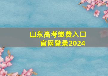 山东高考缴费入口官网登录2024