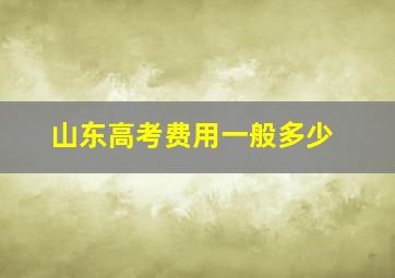 山东高考费用一般多少