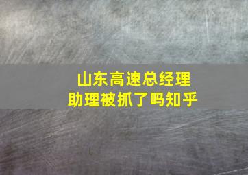 山东高速总经理助理被抓了吗知乎