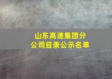 山东高速集团分公司目录公示名单