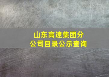 山东高速集团分公司目录公示查询