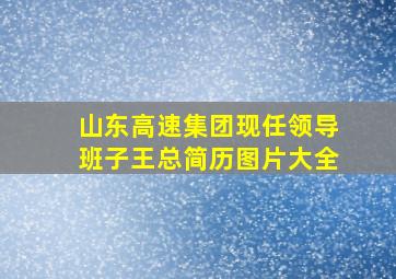 山东高速集团现任领导班子王总简历图片大全