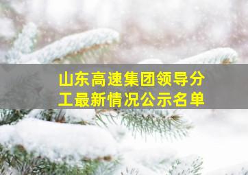 山东高速集团领导分工最新情况公示名单