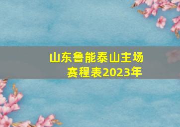 山东鲁能泰山主场赛程表2023年