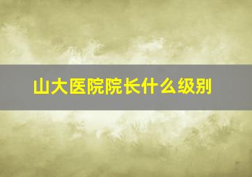 山大医院院长什么级别