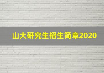 山大研究生招生简章2020