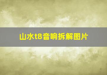 山水t8音响拆解图片