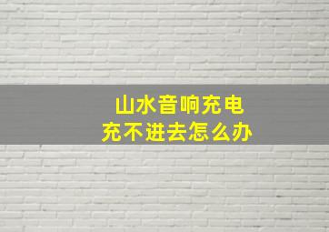 山水音响充电充不进去怎么办