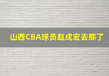 山西CBA球员赵戌宏去那了