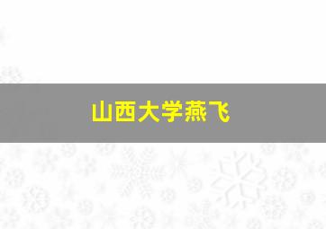 山西大学燕飞