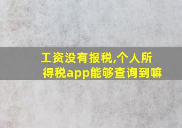 工资没有报税,个人所得税app能够查询到嘛