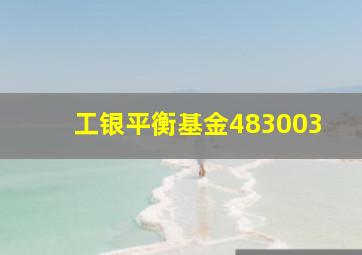 工银平衡基金483003