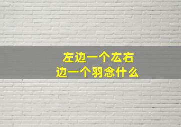 左边一个厷右边一个羽念什么