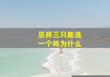 巫师三只能选一个吗为什么