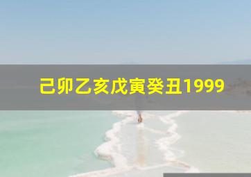 己卯乙亥戊寅癸丑1999