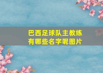 巴西足球队主教练有哪些名字呢图片