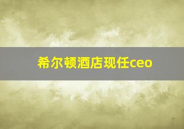 希尔顿酒店现任ceo