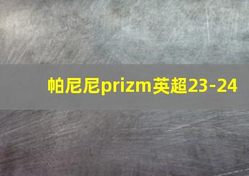 帕尼尼prizm英超23-24