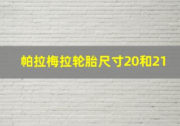 帕拉梅拉轮胎尺寸20和21