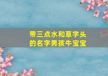 带三点水和草字头的名字男孩牛宝宝