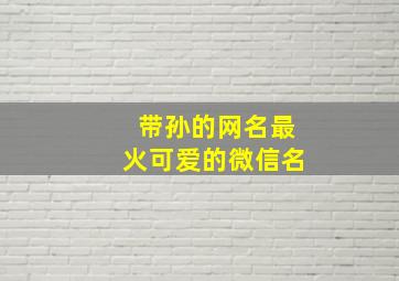 带孙的网名最火可爱的微信名