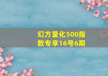 幻方量化500指数专享16号6期