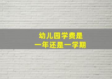 幼儿园学费是一年还是一学期