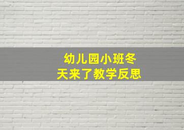 幼儿园小班冬天来了教学反思