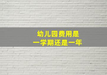 幼儿园费用是一学期还是一年