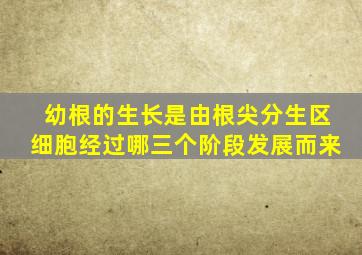 幼根的生长是由根尖分生区细胞经过哪三个阶段发展而来