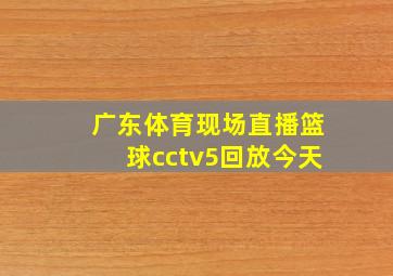 广东体育现场直播篮球cctv5回放今天