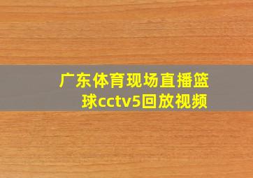 广东体育现场直播篮球cctv5回放视频