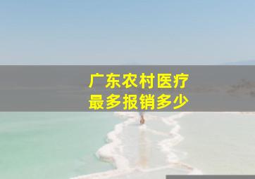 广东农村医疗最多报销多少