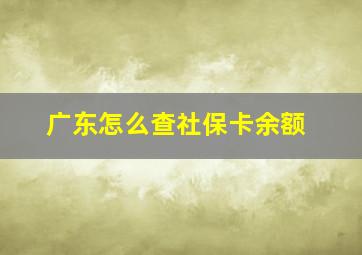 广东怎么查社保卡余额