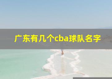 广东有几个cba球队名字