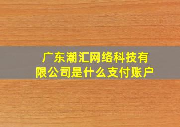 广东潮汇网络科技有限公司是什么支付账户