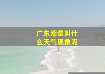 广东潮湿叫什么天气现象呢