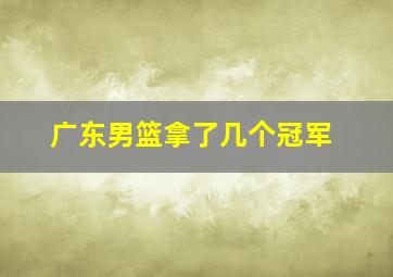 广东男篮拿了几个冠军