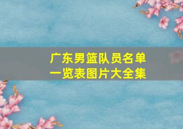 广东男篮队员名单一览表图片大全集