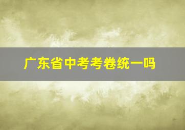 广东省中考考卷统一吗