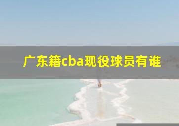 广东籍cba现役球员有谁