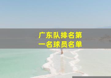 广东队排名第一名球员名单