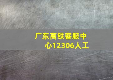 广东高铁客服中心12306人工