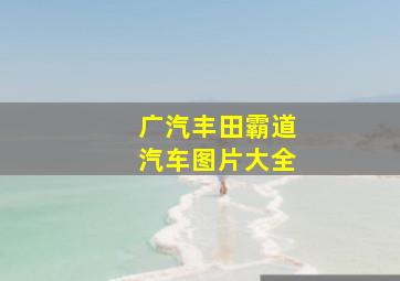 广汽丰田霸道汽车图片大全