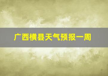 广西横县天气预报一周